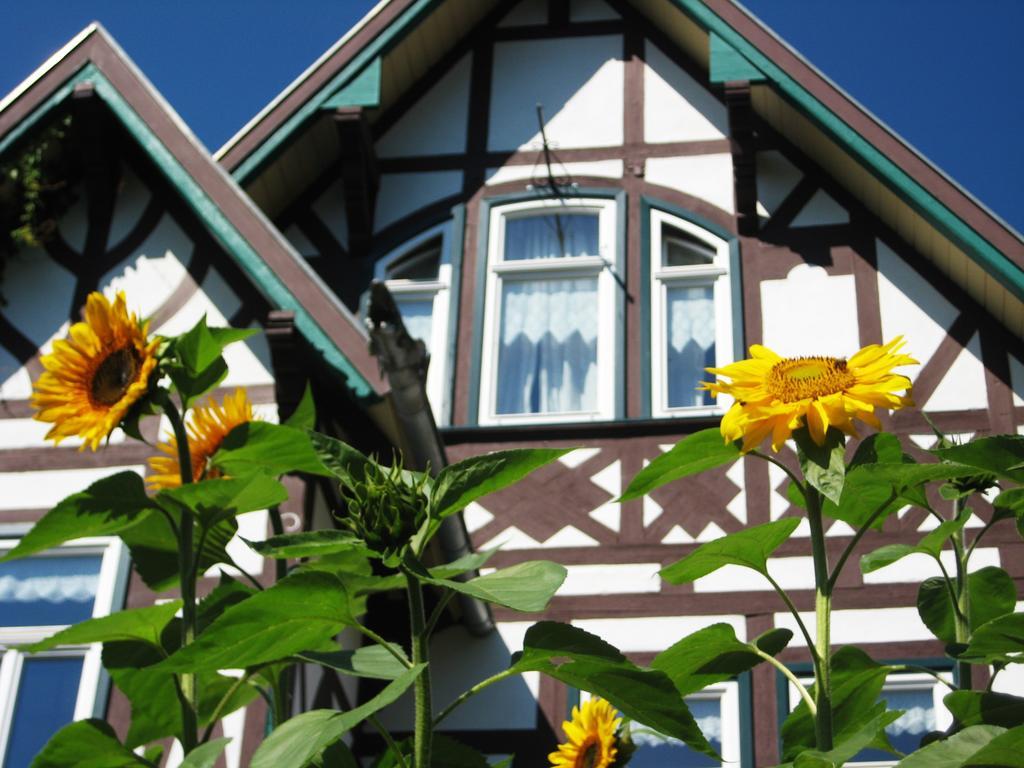 Hotel Villa Rossek Bad Liebenstein Exterior foto